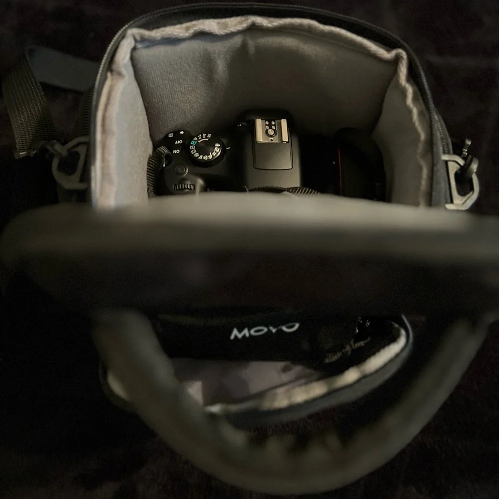 Canon T7i & T6